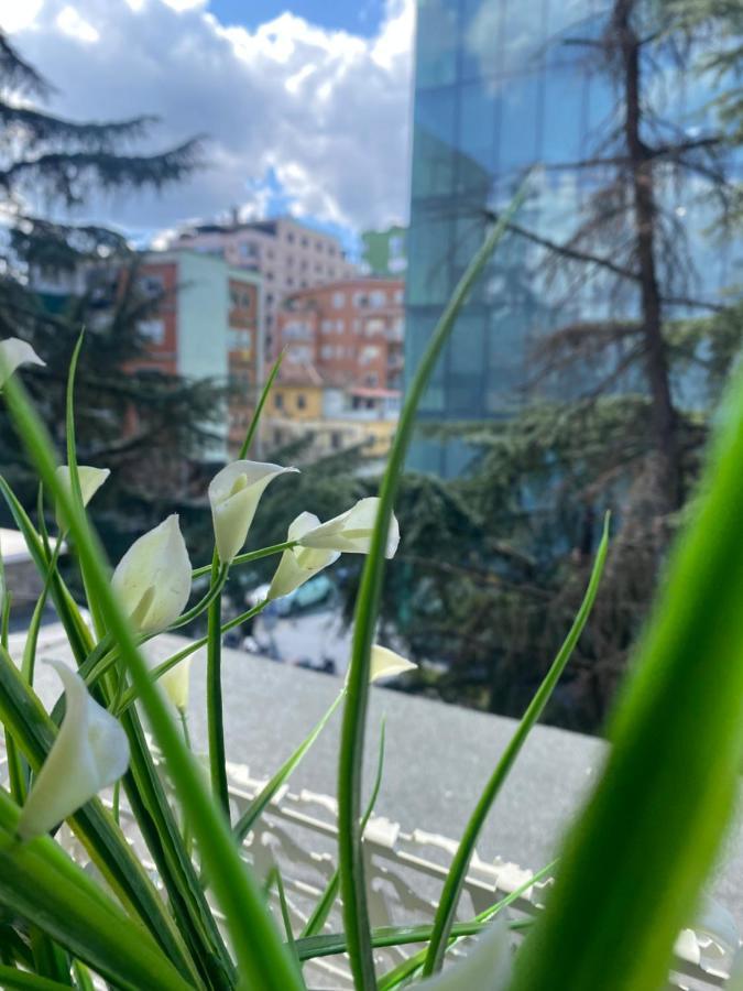Jonexh Apartments Tiranë Eksteriør bilde